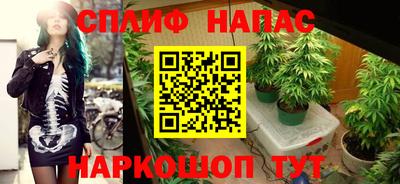 СК Гатчина