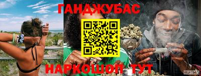 СК Гатчина