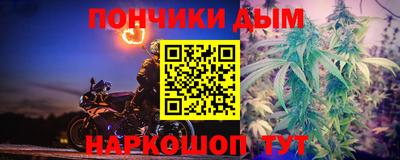 СК Гатчина