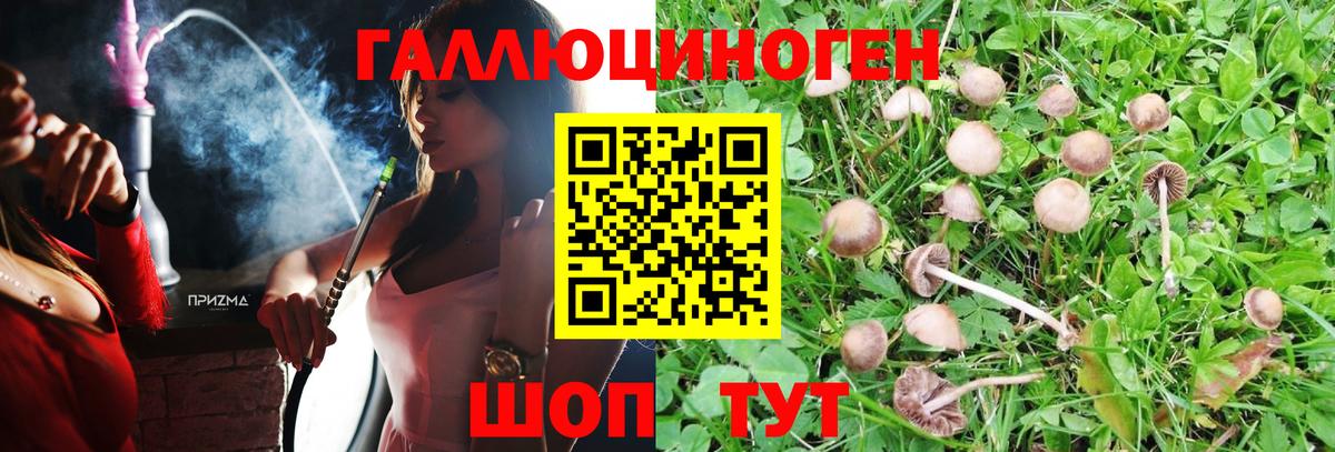 Галлюциногенные грибы GOLDEN TEACHER  Галлюциногенные грибы мухоморы  Вход с VPN  Мытищи 