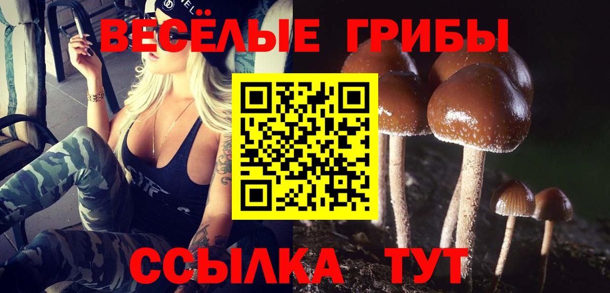 Псилоцибиновые грибы мухоморы Мытищи